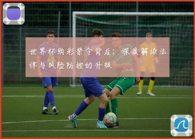 世界杯购彩禁令背后：深度解读法律与风险防控的升级