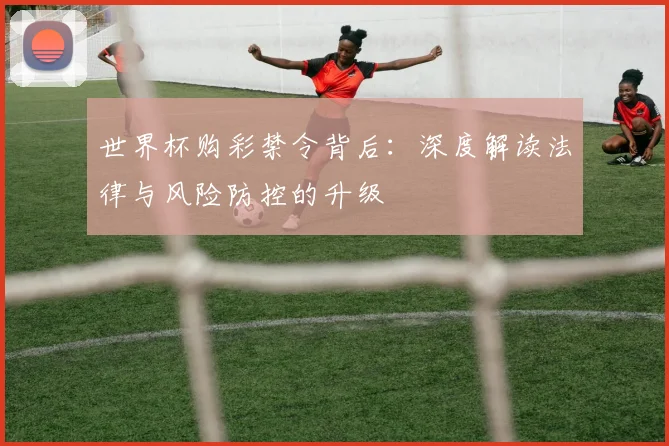 世界杯购彩禁令背后：深度解读法律与风险防控的升级