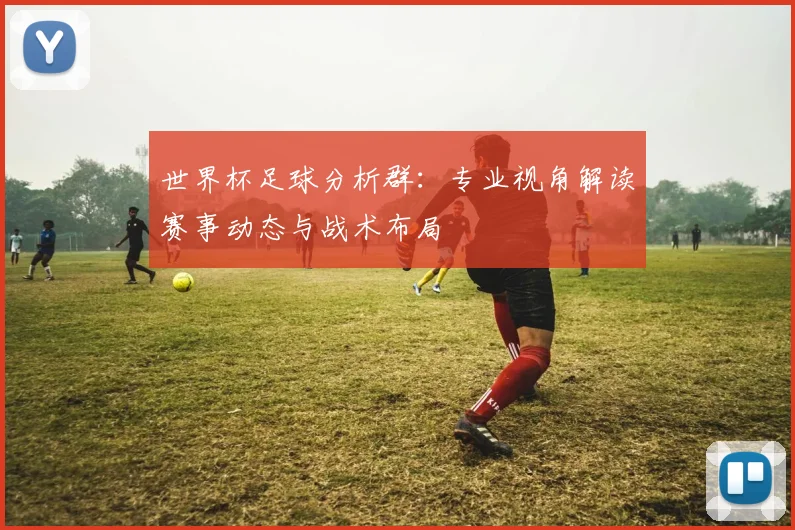 世界杯足球分析群:专业视角解读赛事动态与战术布局